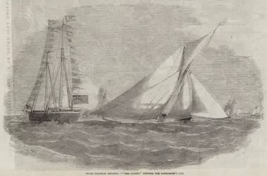 Regata reale di Harwich, L