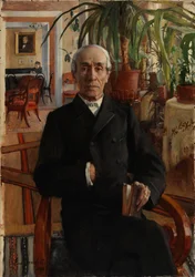 Ritratto del barone Johan Philip Palmén, vicerettore dell’Università