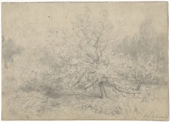 Paesaggio con un albero prominente al centro