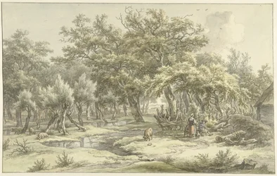 Paesaggio vicino a Eext (Drenthe)