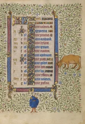 Pagina del calendario di aprile; Raccogliere i fiori; Toro