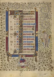 Pagina del calendario di gennaio; Festeggiamenti; Acquario