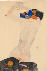 Nudo di schiena con un panno colorato, 1911