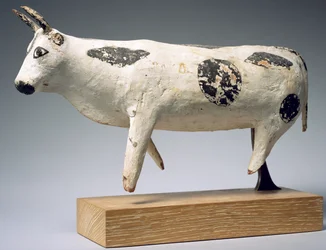 Toro o bue, Medio Regno