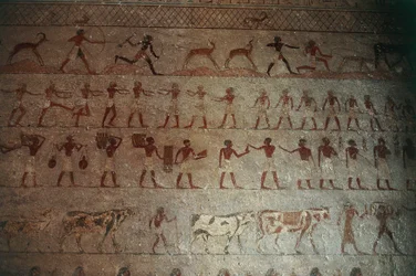 Necropoli di Beni Hasan. Tomba di Amenemhat, dettaglio: pitture murali raffiguranti scene di caccia e vita di campagna