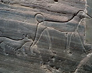 Coppia di cani, rilievo dall