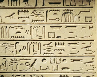 Stele funeraria del Maggiordomo Khentekhtayaun, geroglifici che riportano l