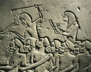 Un gruppo di prigionieri neri circondati da guardie armate di clave mentre uno scriba redige un rapporto. Rilievo dalla tomba di Horemheb a Saqqara, dettaglio