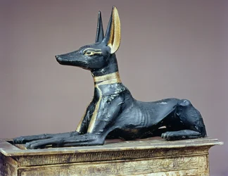 Anubi, dio egizio dei morti da un cofanetto a forma di santuario, dalla tomba di Tutankhamon (c.1370-52 a.C.) Nuovo Regno (legno)