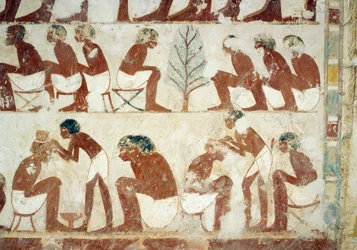 Taglio dei capelli dei soldati, affresco, parete sud, camera trasversale ovest, Tomba di Userhat, tutore e scriba durante il regno di Amenhotep II, conosciuta anche come tomba TT56, Sheikh Abd el-Qurna, Tebe. Civiltà egizia, Nuovo Regno, XVIII dinastia