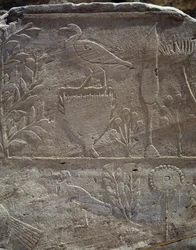 Dettaglio della scena che commemora la spedizione nella Terra di Punt, Colonnato di Punt, tempio funerario della Regina Hatshepsut, Deir el-Bahari, Necropoli Tebana (Patrimonio dell