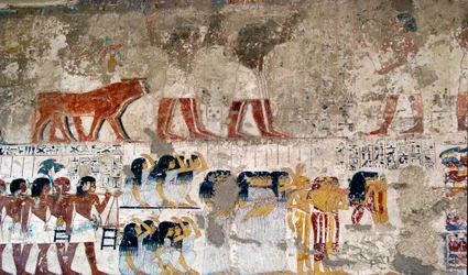 Antichità egizia: portatori di offerte e piangenti. Affresco della tomba del visir Ramose (XVIII dinastia). Luxor, Riva Ovest, Valle dei Nobili, Egitto - Antico Egitto: portatori di offerte e piangenti. Affresco dalla tomba del visir Ramose (XVIII dinastia