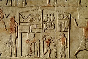 Antichità egizia: “i generi alimentari sono immagazzinati nei magazzini”. Rilievo che decora una tomba di un alto funzionario della XVIII dinastia. Bologna, Museo Civico Archeologico