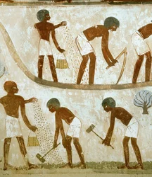 Contadini che rompono il terreno, seminano e arano (pittura murale)