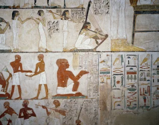 Banchetto funebre con musiciste, uomini e musicisti, (dettaglio), affreschi nella Tomba di Rekhmire, Necropoli di Sheikh Abd el Qurnah, Luxor, Tebe (Lista del Patrimonio Mondiale dell