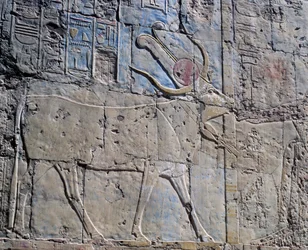 Dea Hathor in forma di mucca sacra, rilievo dipinto, Cappella di Hathor, Tempio Mortuario della Regina Hatshepsut, noto anche come Djeser-Djeseru, Deir el-Bahri, Tebe (Lista del Patrimonio Mondiale dell