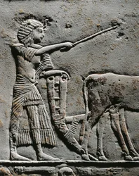 Horemheb che ara la terra nei Campi di Iaru, rilievo dalla tomba di Horemheb a Saqqara (dettaglio)