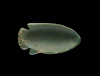Interno di un piatto a forma di pesce