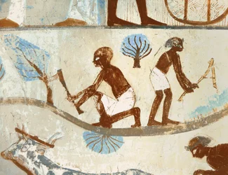 Lavoratori che abbattono alberi