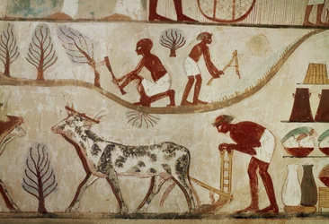 Fatiche del campo (pittura murale)