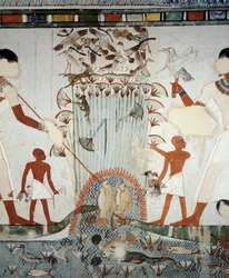 Menna e la sua famiglia che pescano e cacciano nelle paludi del Nilo, (dettaglio) dagli affreschi nella cappella della Tomba di Menna, Necropoli di Sheikh Abd el Qurnah, Luxor, Tebe (Patrimonio dell