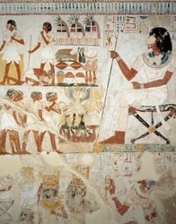 Menna che sovrintende i suoi lavoratori nei campi, (dettaglio), affreschi nel vestibolo della Tomba di Menna, Necropoli di Sheikh Abd el Qurnah, Luxor, Tebe (Lista del Patrimonio Mondiale dell