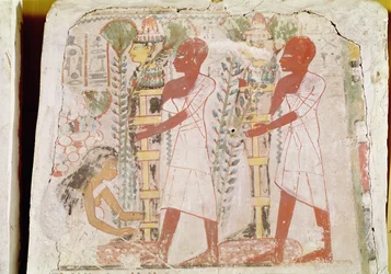Preparazione di due mummie per la cerimonia di purificazione, dalla tomba di Merymaat, Nuovo Regno