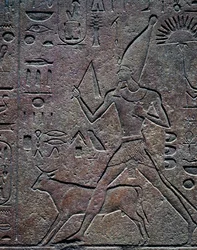 La regina Hatshepsut accompagnata dal toro Apis durante le attività cerimoniali della celebrazione del giubileo, rilievo, Tempio di Amon, Complesso del Tempio di Karnak (Lista del Patrimonio Mondiale UNESCO)