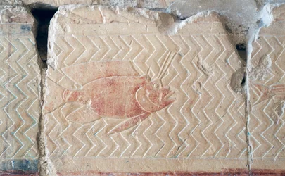 Rilievo di un pesce, Tempio Mortuario di Hatshepsut, Tebe