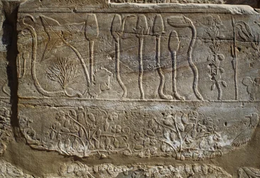Rilievo di animali e piante offerti ad Amon da Thutmose III al suo ritorno dalla campagna di Siria nel 1465 a.C., Sala del Giardino Botanico, Karnak, Necropoli Tebana, Luxor, Egitto, Nuovo Regno, Dinastia XVIII