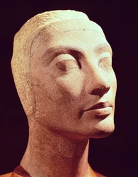 Testa incompiuta di Nefertiti, Nuovo Regno, c.1365-49 a.C.