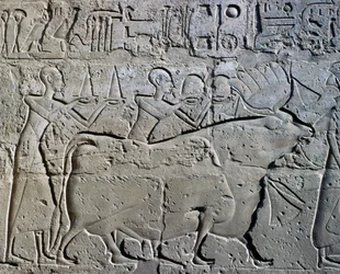 Personaggi che simboleggiano i distretti minerari portano i loro tributi a dio, rilievo, Cortile di Ramesse II, Tempio di Amon (Patrimonio dell
