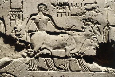 Antico Egitto, Luxor, Tempio di Luxor, Cortile di Ramses II, rilievo, Nuovo Regno, XIX Dinastia (1290-1224 a.C.)