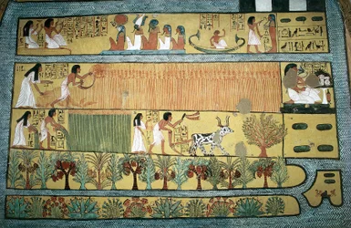 Egitto, Tebe, villaggio degli operai di stato a Dayr al-Madinah, tomba di Sennedjem, affresco che raffigura scene agricole nei campi di Ialu, Nuovo Regno, XIX dinastia