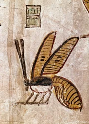 Arte egizia: Tomba di Seti I. Dettaglio dell