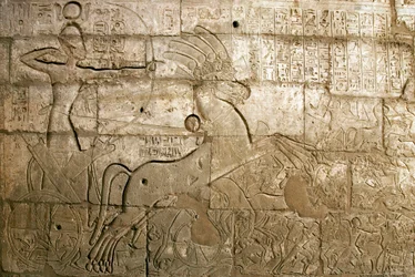 Antichità egiziane: rilievi che celebrano le imprese di Ramses II durante la Battaglia di Qadesh nel 1274 a.C., il faraone è rappresentato sul suo carro, tempio funerario dedicato al faraone Ramses II (1279-1213 a.C.), sito di Ramasseum a Luxor, Egitto