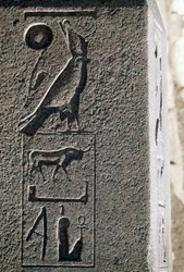 Geroglifico con il nome di Horus, Grande Tempio di Amun, Tanis, Egitto, Nuovo Regno, XIX dinastia