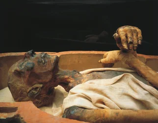 Mummia di Ramses II, dettaglio