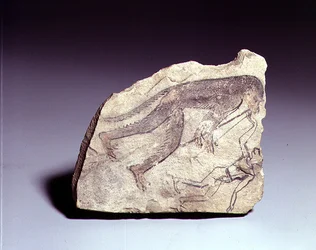 Ostracon con una figura di una scimmia che suona un flauto, Nuovo Regno