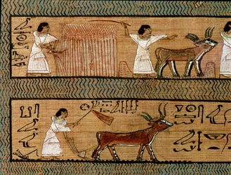 Mietitura e aratura, (dettaglio) da una raffigurazione delle attività agricole nell