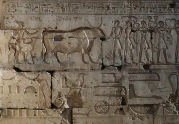 Rilievo, Tempio di Ramses II, Abydos, Egitto, civiltà egiziana, Nuovo Regno, Dinastia XIX