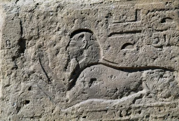 Sfinge, blocco con rilievo, Grande Tempio di Amon, Tanis, Egitto, Nuovo Regno, Dinastia XIX