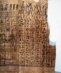 Il Libro dei Morti: geroglifico egizio su un papiro della XXII dinastia. Dettaglio. IX secolo a.C. Torino, Museo Egizio.
