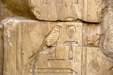 Antichità egizia: cartiglio di Ankh Hor. Tomba di Ankh-Hor (XXVI dinastia), Luxor (Tebe), Egitto