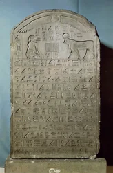 Stele commemorativa della sepoltura del toro Apis durante il regno di Ahmose II (Amasis) dal Serapeo di Saqqara, Periodo Tardo, 547 a.C. (calcare)