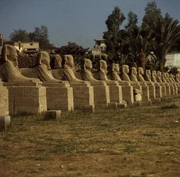 Viale di sfingi, aggiunto da Nectanebo I (380-362 a.C.) Periodo Tardo