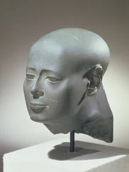 Testa di Wesirwer, Profeta di Montu, dalla Cachette nel Precinto di Amon, Karnak, Tardo Periodo