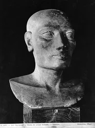Testa di un uomo, Testa di Salts
