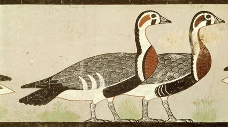 Oche di Meidum, dalla Tomba di Nefermaat e Atet, Antico Regno, c.2620 a.C.