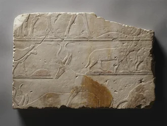 Rilievo con animali del deserto, Antico Regno, trovato a Saqqara, c.2472-2455 a.C.